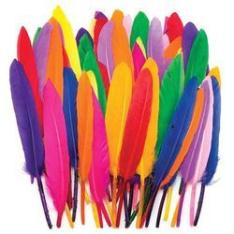 coloured-feather-250x250