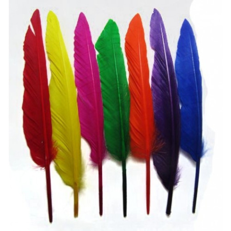 duckfeatherscoloured-500x500