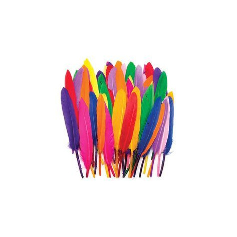 coloured-feather-250x250