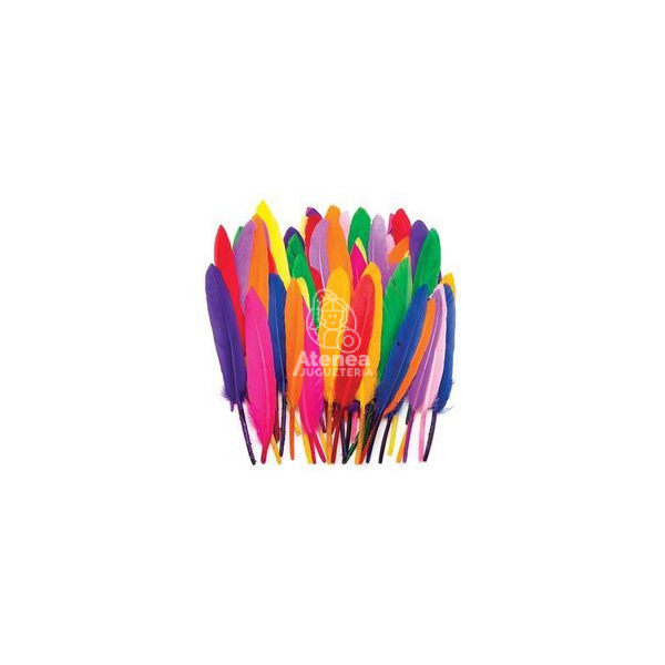 coloured-feather-250x250